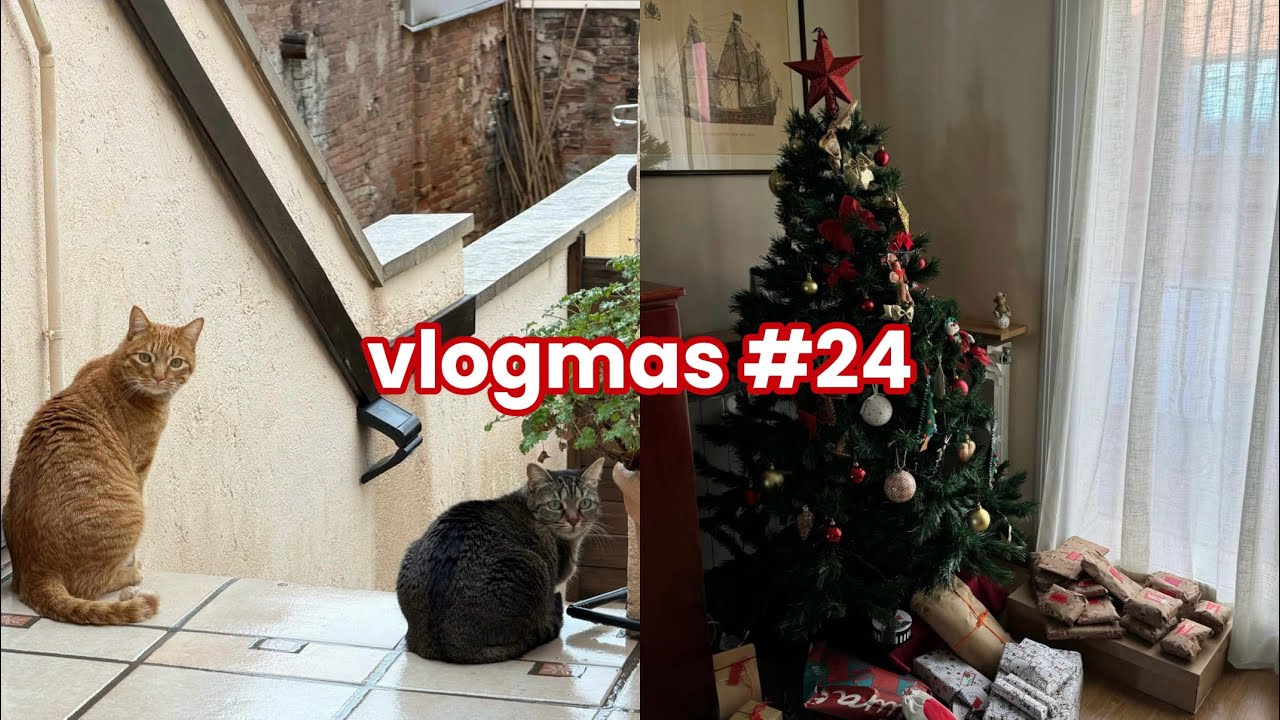 vlogmas24. Último día de esta serie que he (y habéis) AMADO. osq mucho de verdad