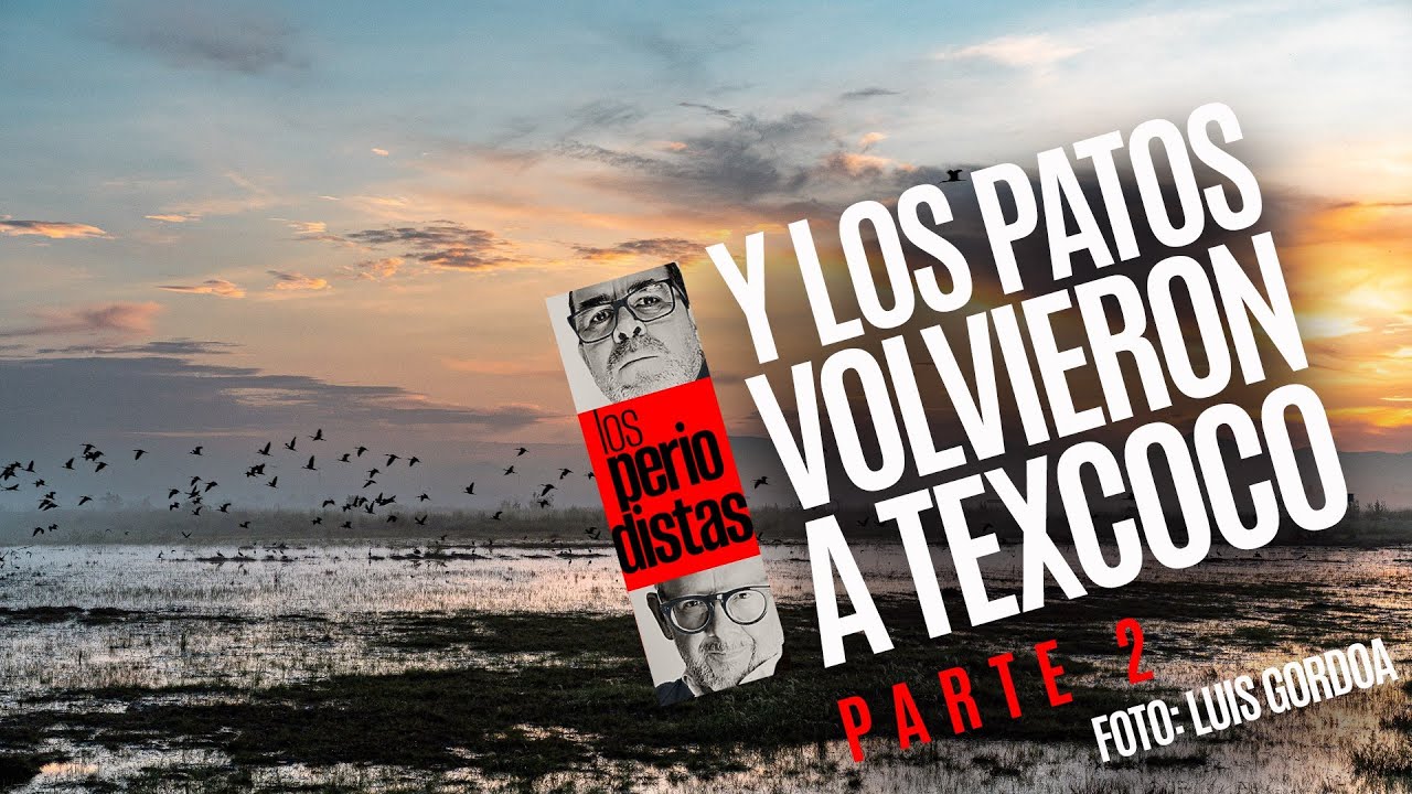 Texcoco PARTE 2 &not; El proyecto de justicia ambiental de Texcoco cosecha juncos, aves y moscos