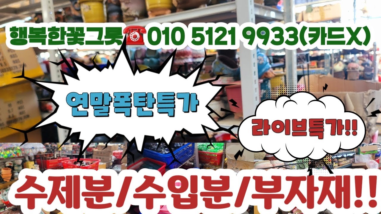 행복한꽃그릇☎️010 5121 9933(카드X) 💗 분포함다육/중고분/묵딩다육💗#다육군생#초보다육