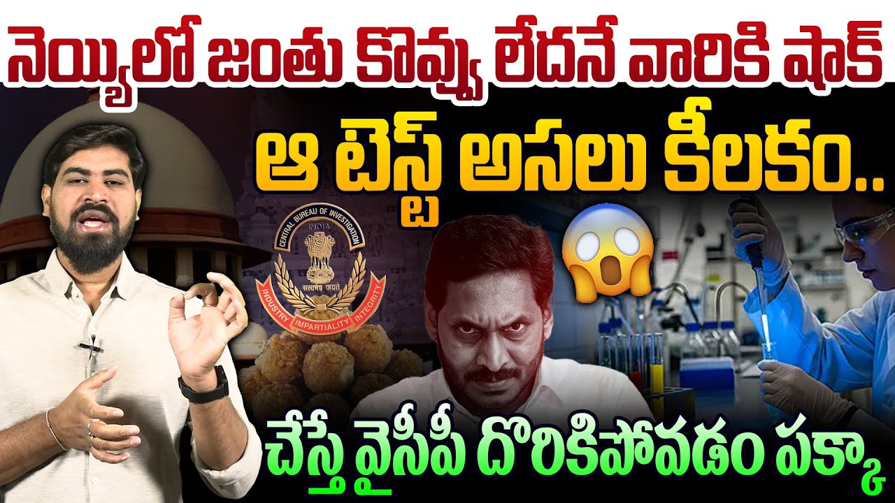 నెయ్యిలో జంతు కొవ్వు లేదనే వారికి షాక్😱 Tirumala Laddu Ghee Adulteration Case Latest Updates | Jagan
