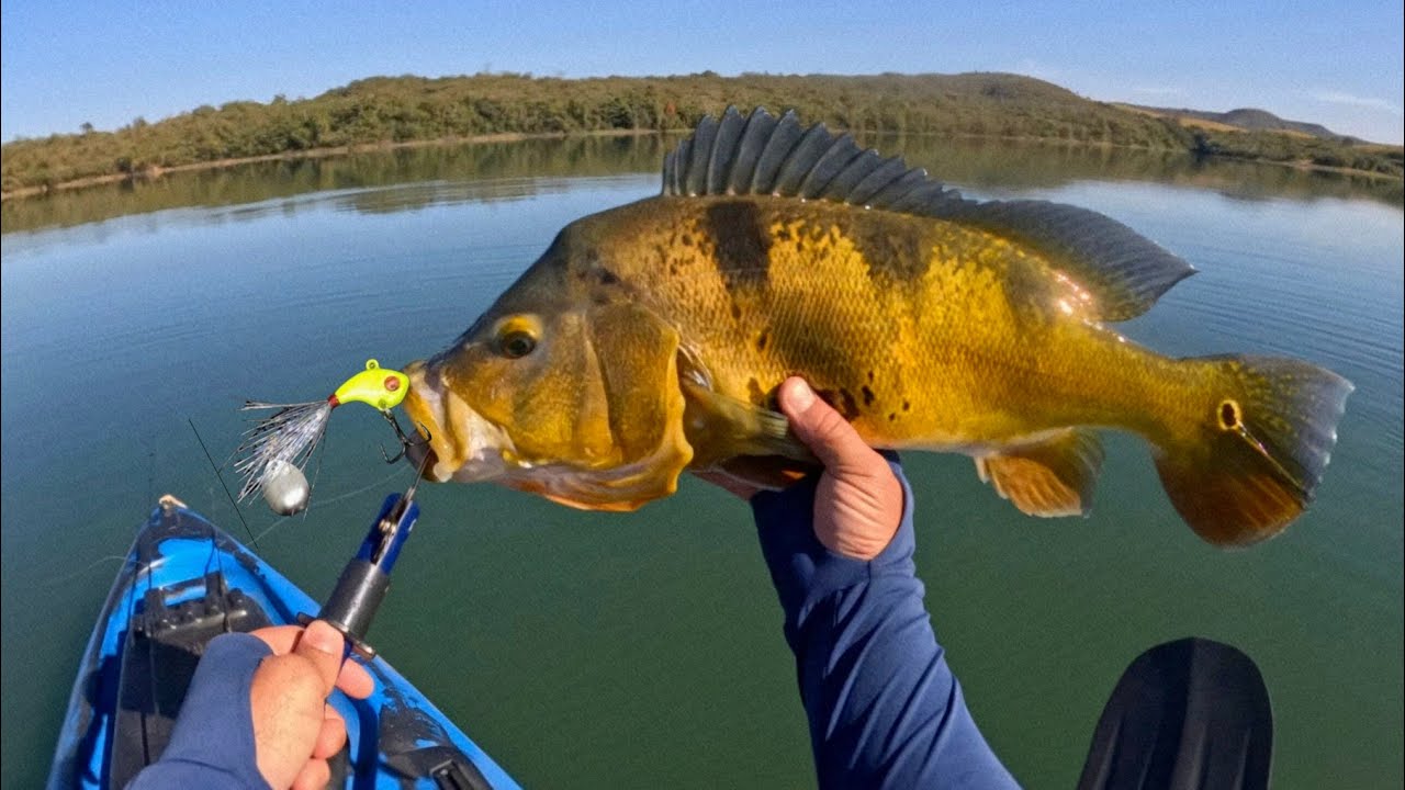Bati o Record de Tucunare Amarelo Pego em Caiaque.  