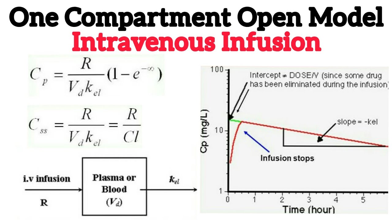 One Compartment Open Model: Intravenous Infusion