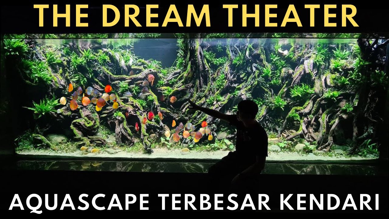 AKHIRNYA AQUASCAPE TERBESAR DI KENDARI SELESAI!!! AIR LANGSUNG BENING SAMA IKAN UDAH BISA MASUK!!