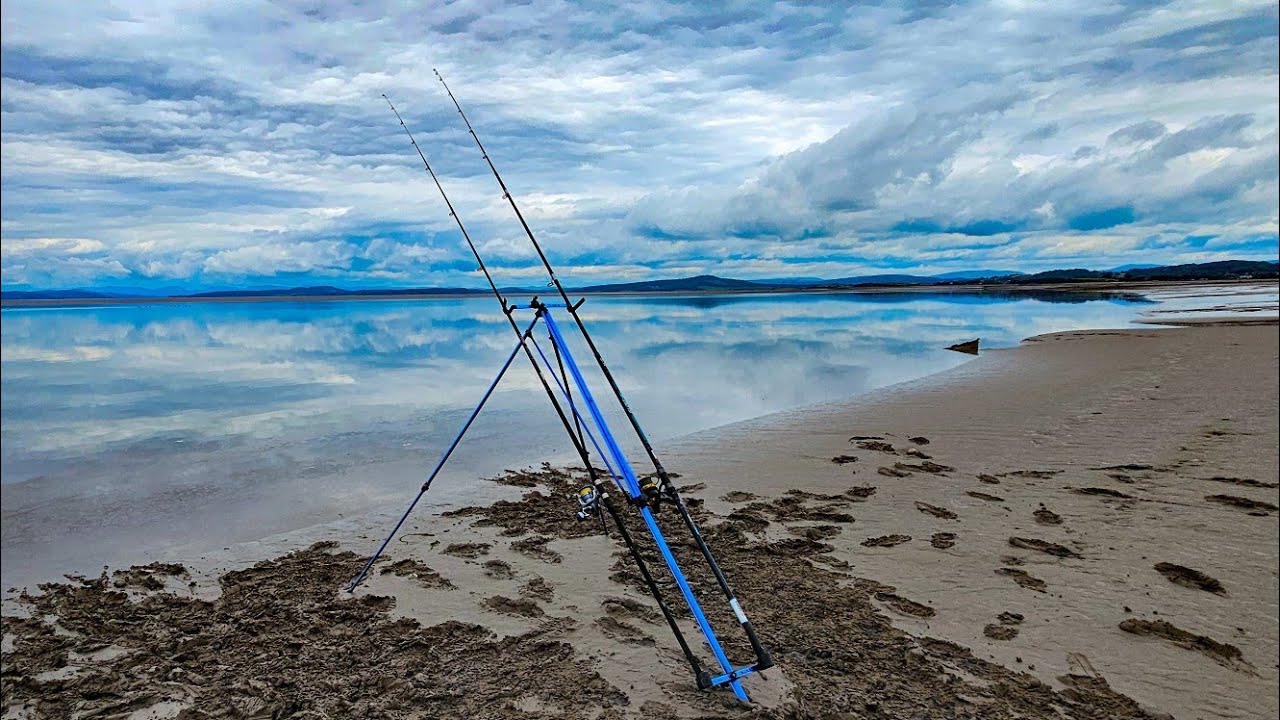 2 новых знака — 3 новых вида | Морская рыбалка в Моркамбе