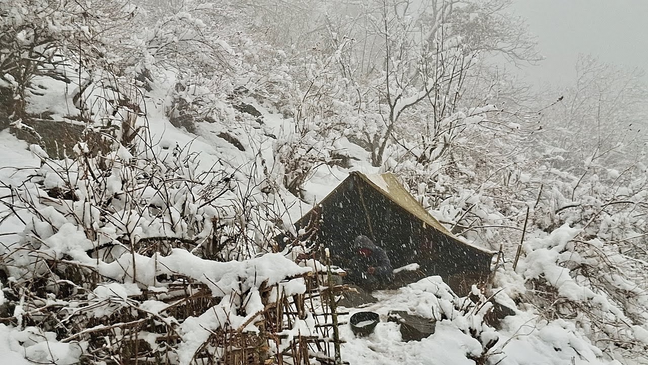 Serviving Life in a freezing Mountain As a shepherd in Nepal | Cooking Sheep  Meet |Daily Life Nepal