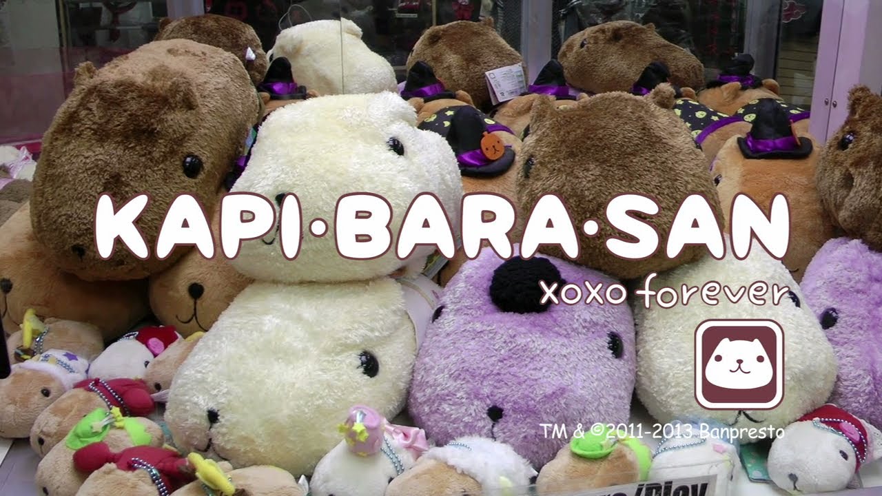 Catch a Kapibara&bull;san