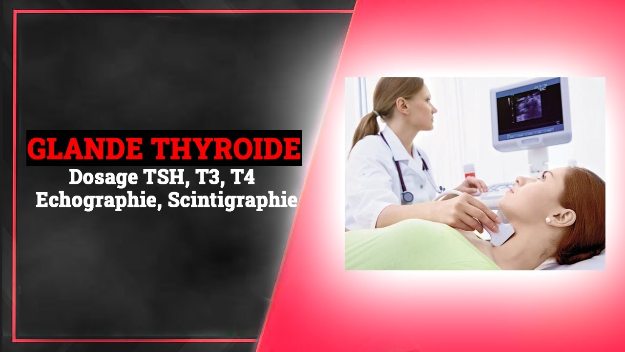 la Glande Thyroïde: Explorations, Dosage des Hormones, Echographie | Endocrinologie Medicale