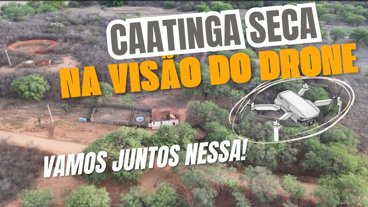 Drone mostra a caatinga seca no sertão nordestino.