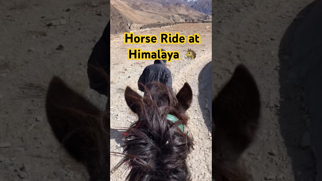 Mustang || Desert Of Nepal ❤️ #shorts #himalayas #mustang #nepal
