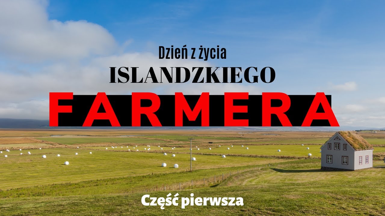 Zostałem islandzkim farmerem! Mój dzień pracy vol. 1