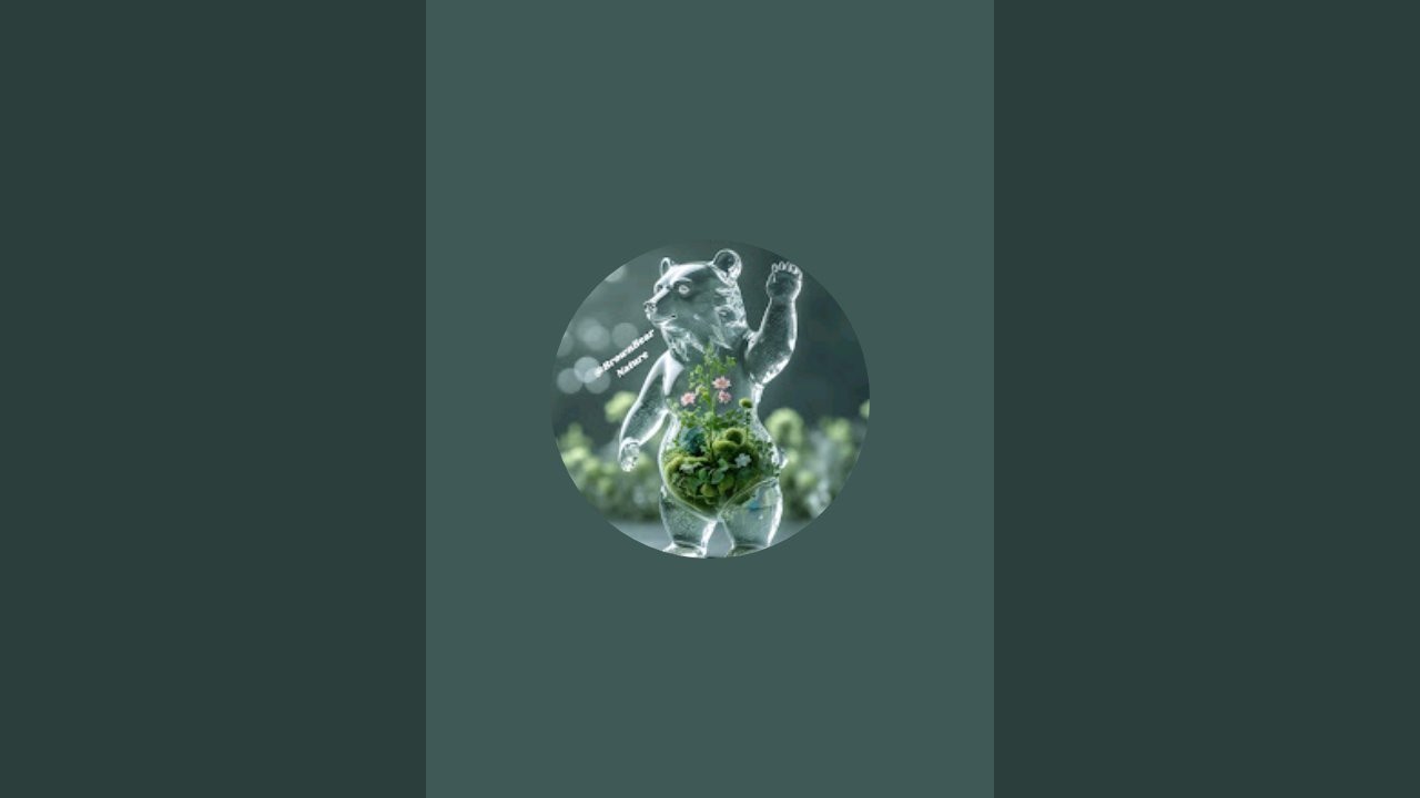 Brown Bear Nature is live!