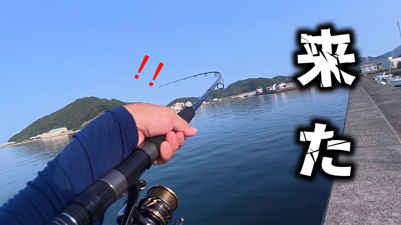 夏は暑いが青物も熱い