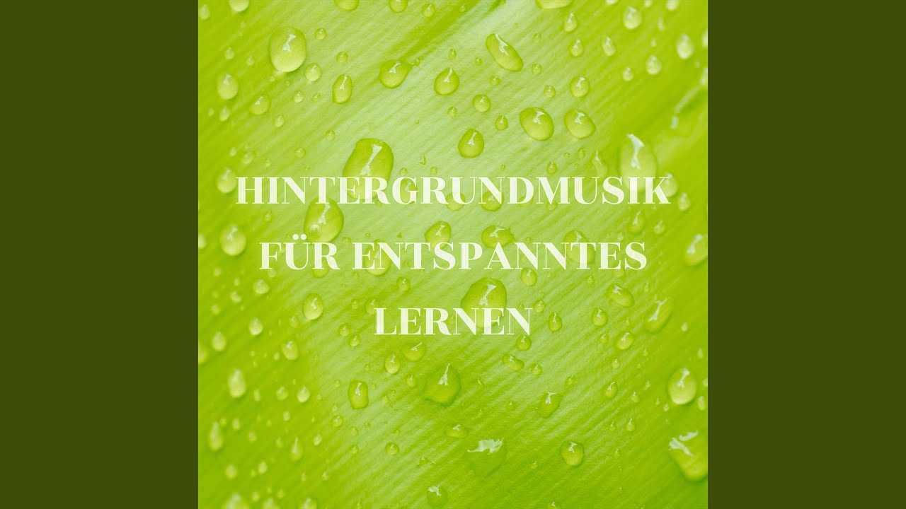 Eloquenter Lernpartner