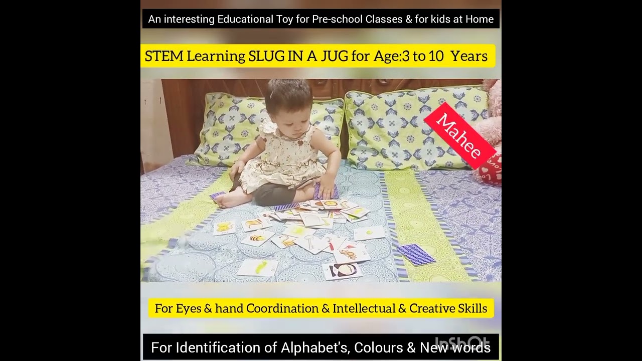 SLUG IN A JUG (Puzzle Cards/Educational Toys)