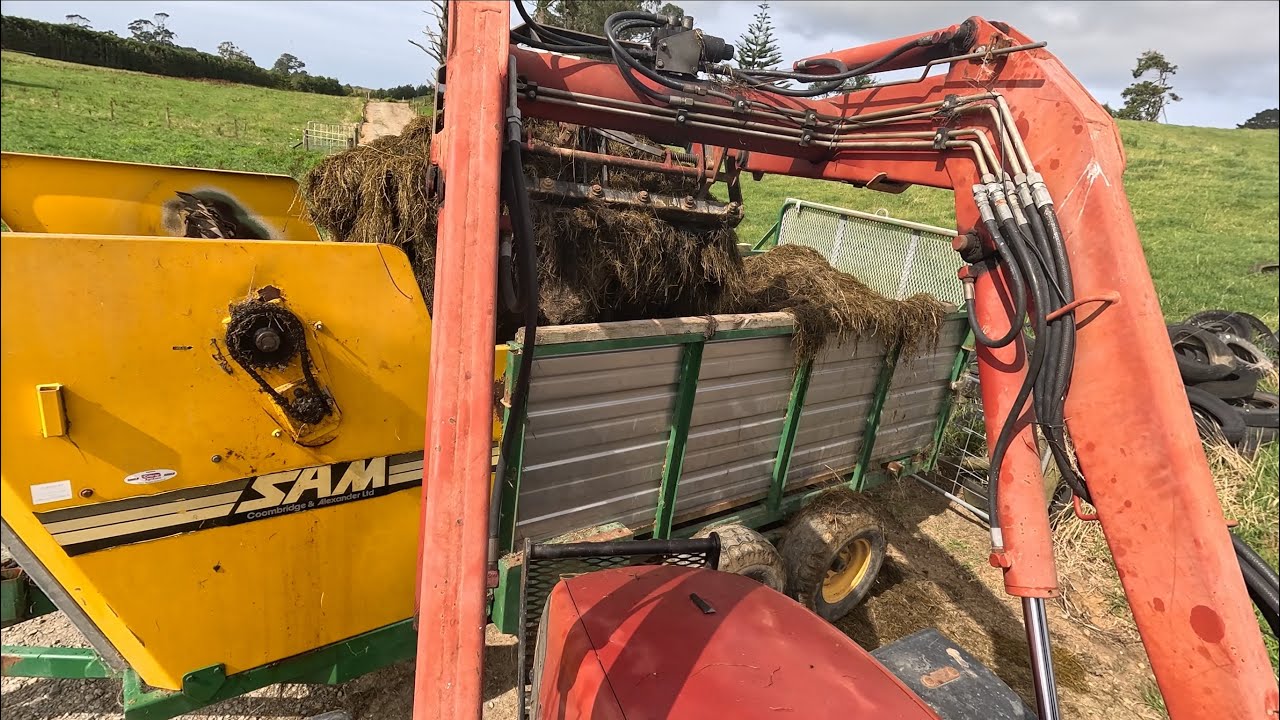 Снова в работе с отремонтированной кормушкой Sam.