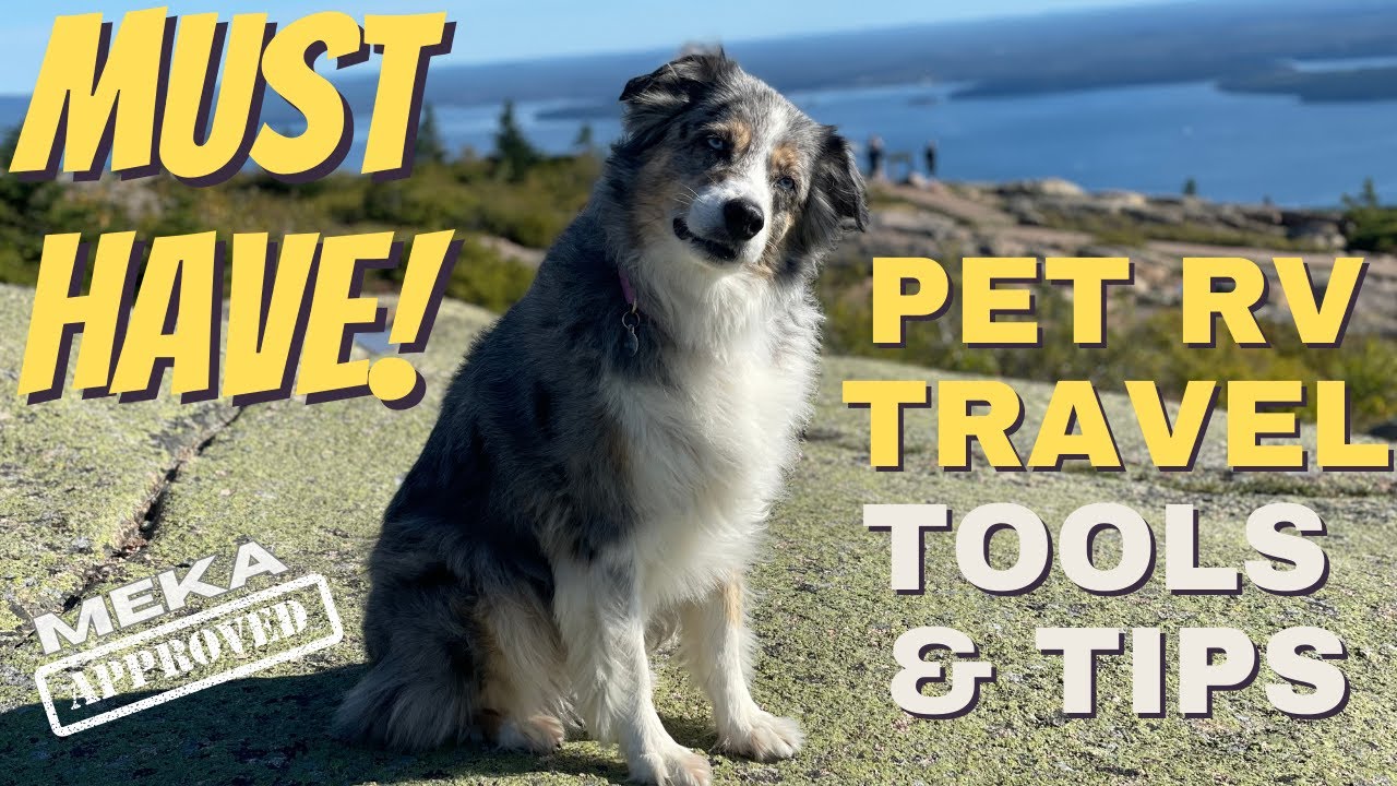MUST HAVE Pet RV Travel Tools and Tips #rvlife #rvpetmonitor #pets #pettravel