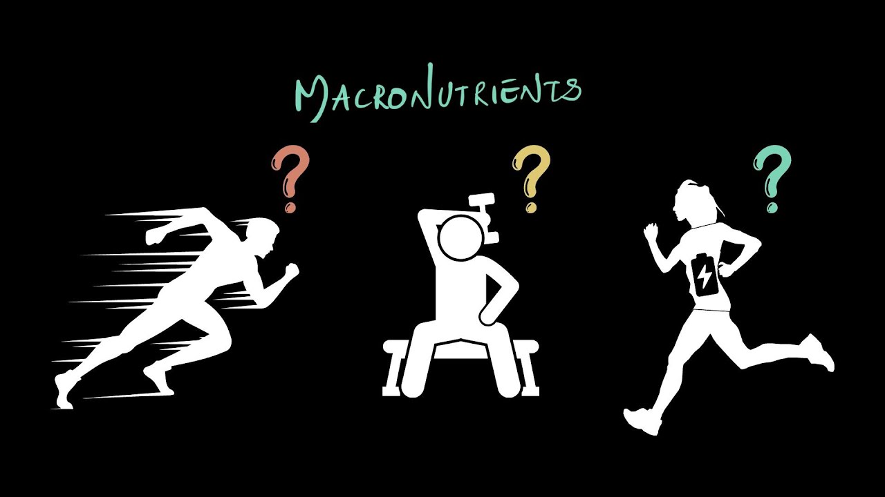 Macronutrients | Middle School Science | Khan Academy