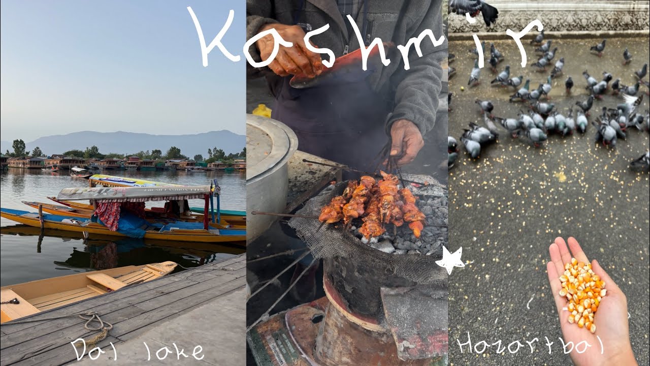 Where Heaven Meets Water🌷: Dal Lake 🪷& the Serenity of Hazratbal” || mini vlog ||#kashmir #dallake