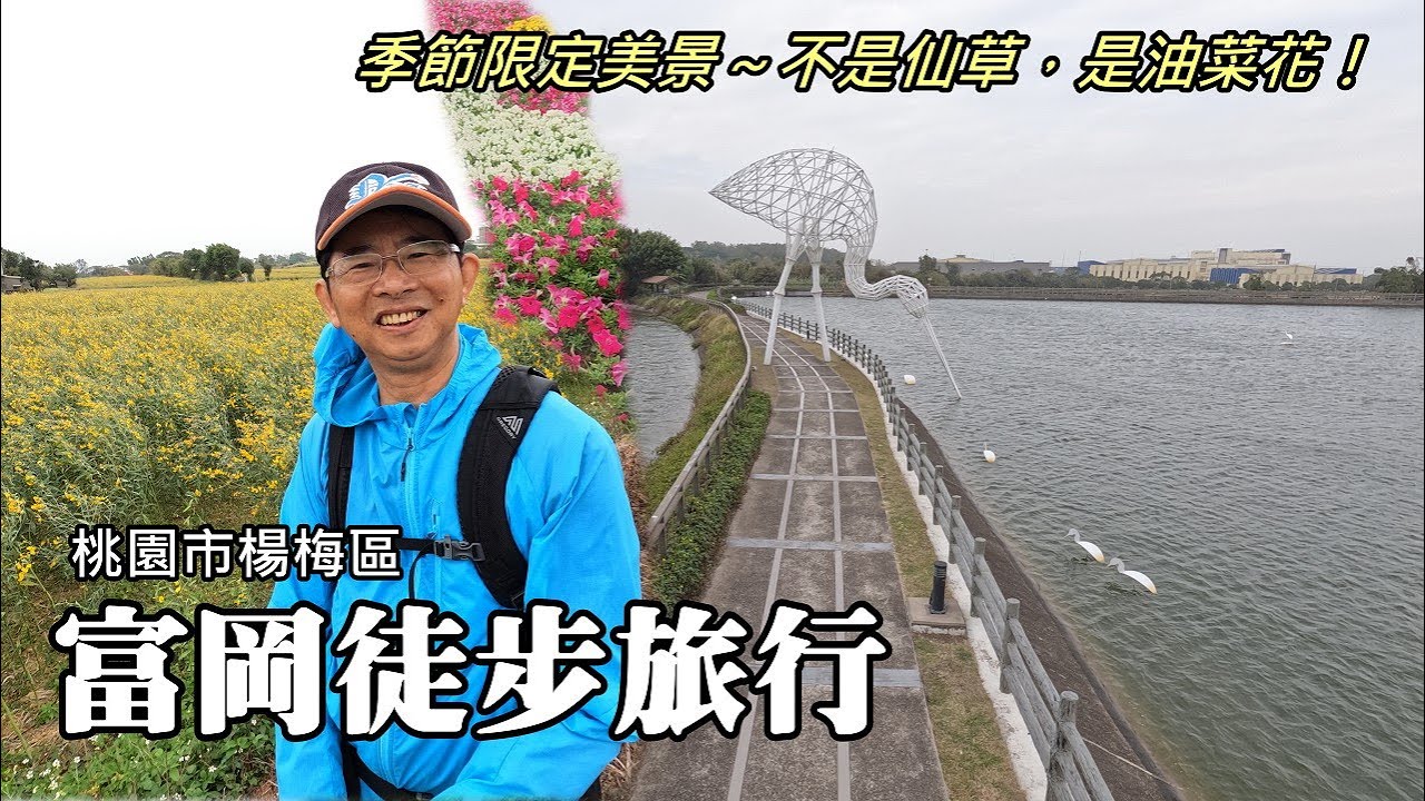 8公里富岡徒步旅行，感動我的，不是仙草，而是