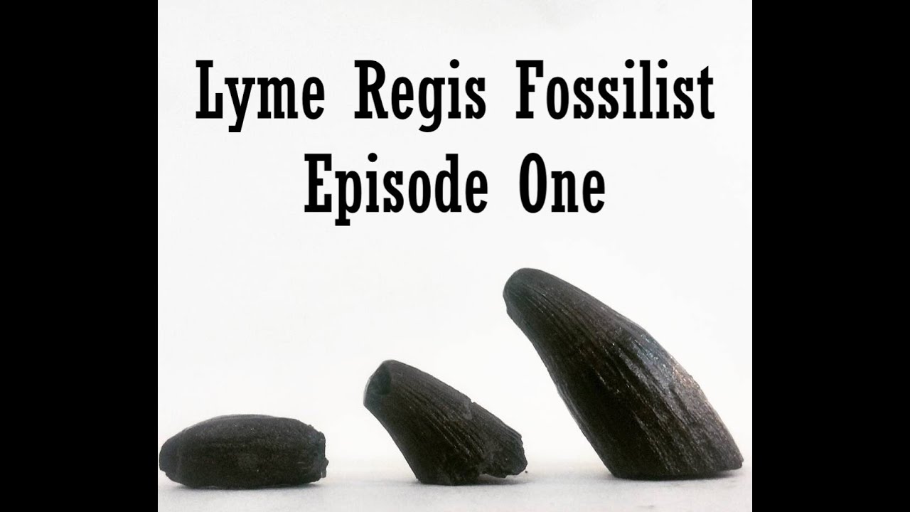 Fossil Hunting at Lyme Regis, 2021. Episode 1.