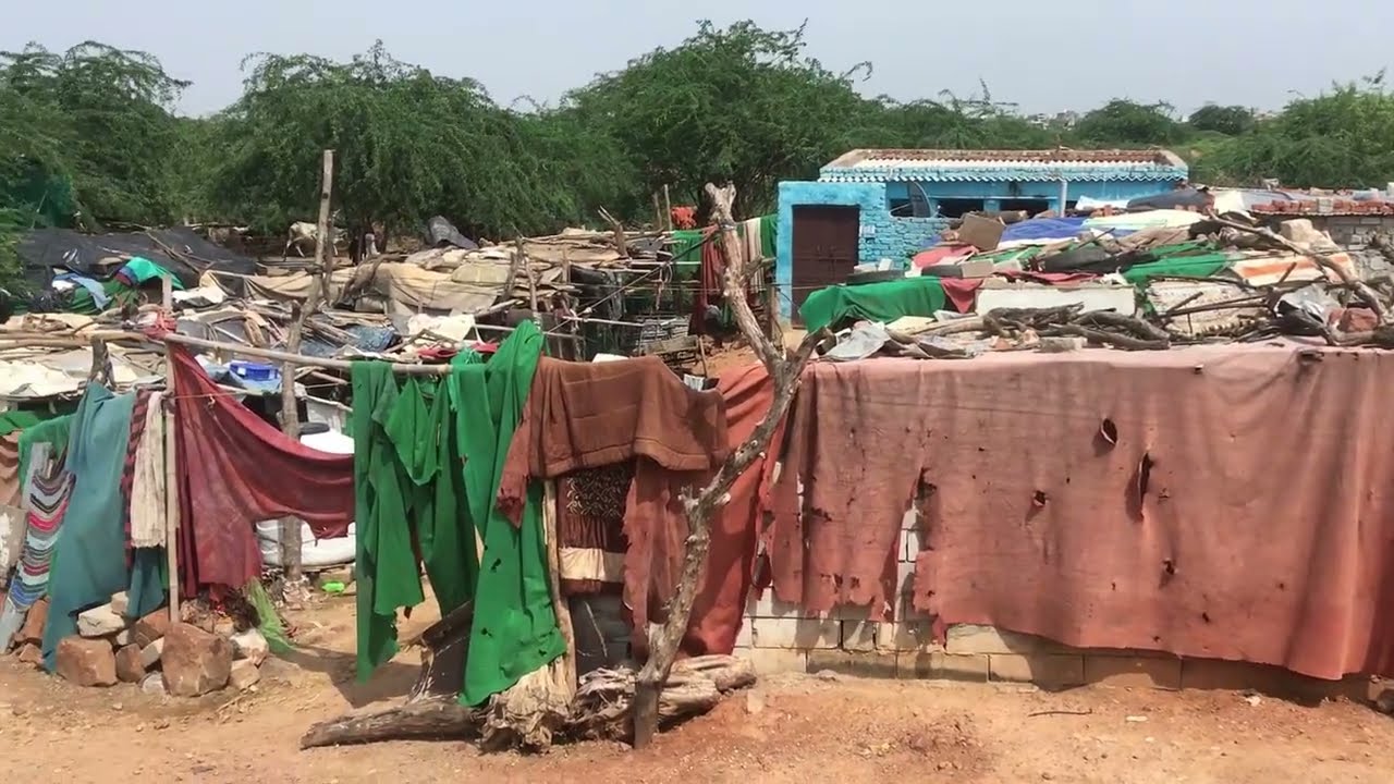 Nala Camp Centre, Delhi - Location Profile