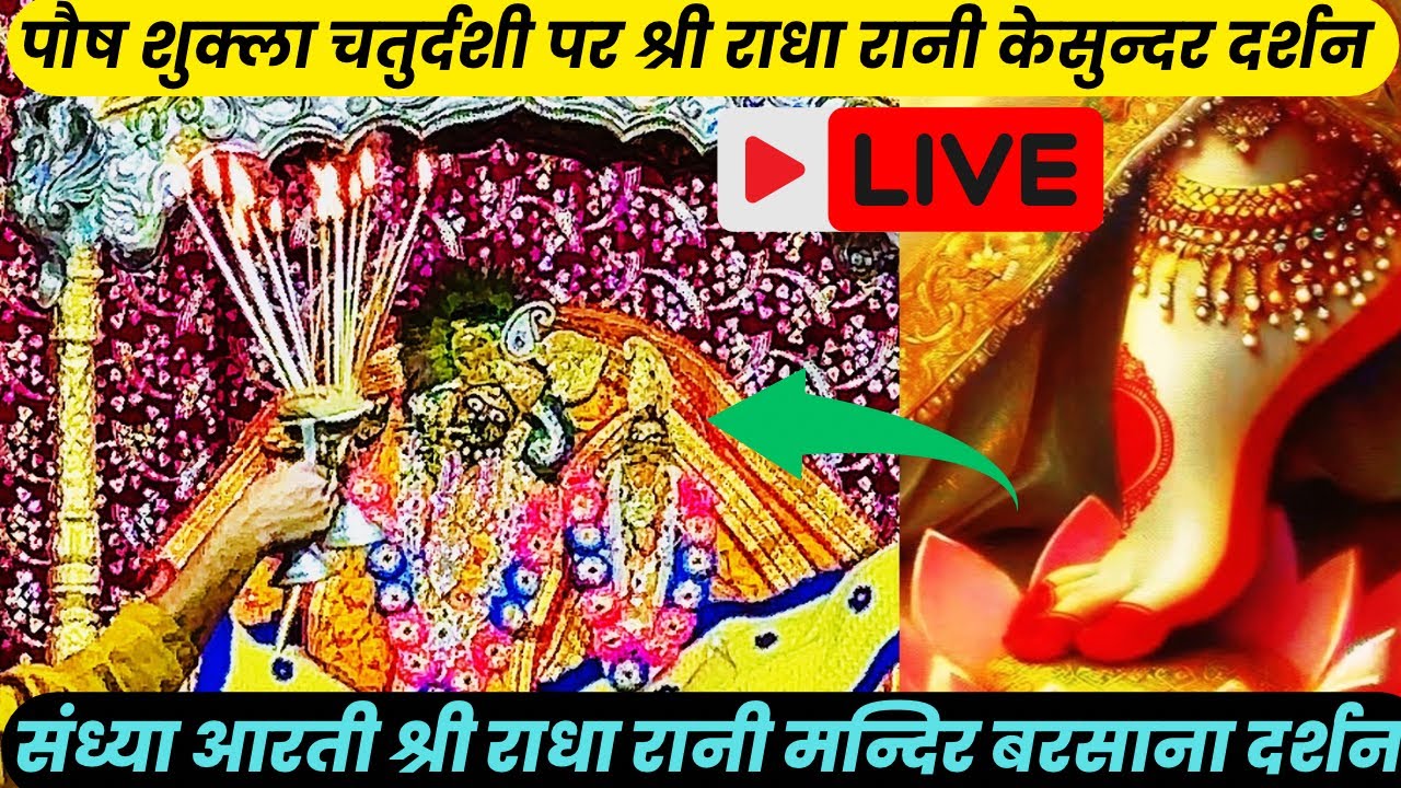 live-श्री धाम बरसाना से संध्या आरती राधा रानी मन्दिर #radha #krishna #vrindavan #trending #youtube
