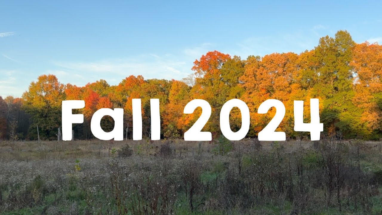 Fall 2024