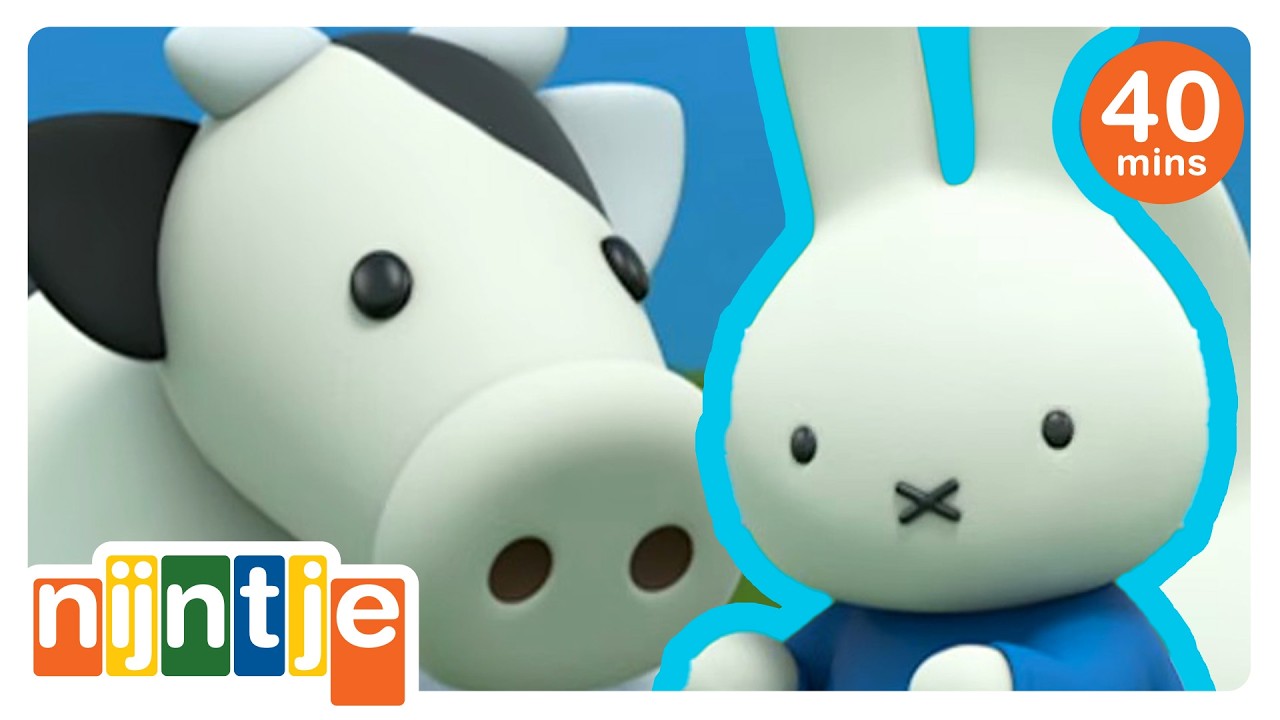 moo moo | nijntje | het beste van nijntje