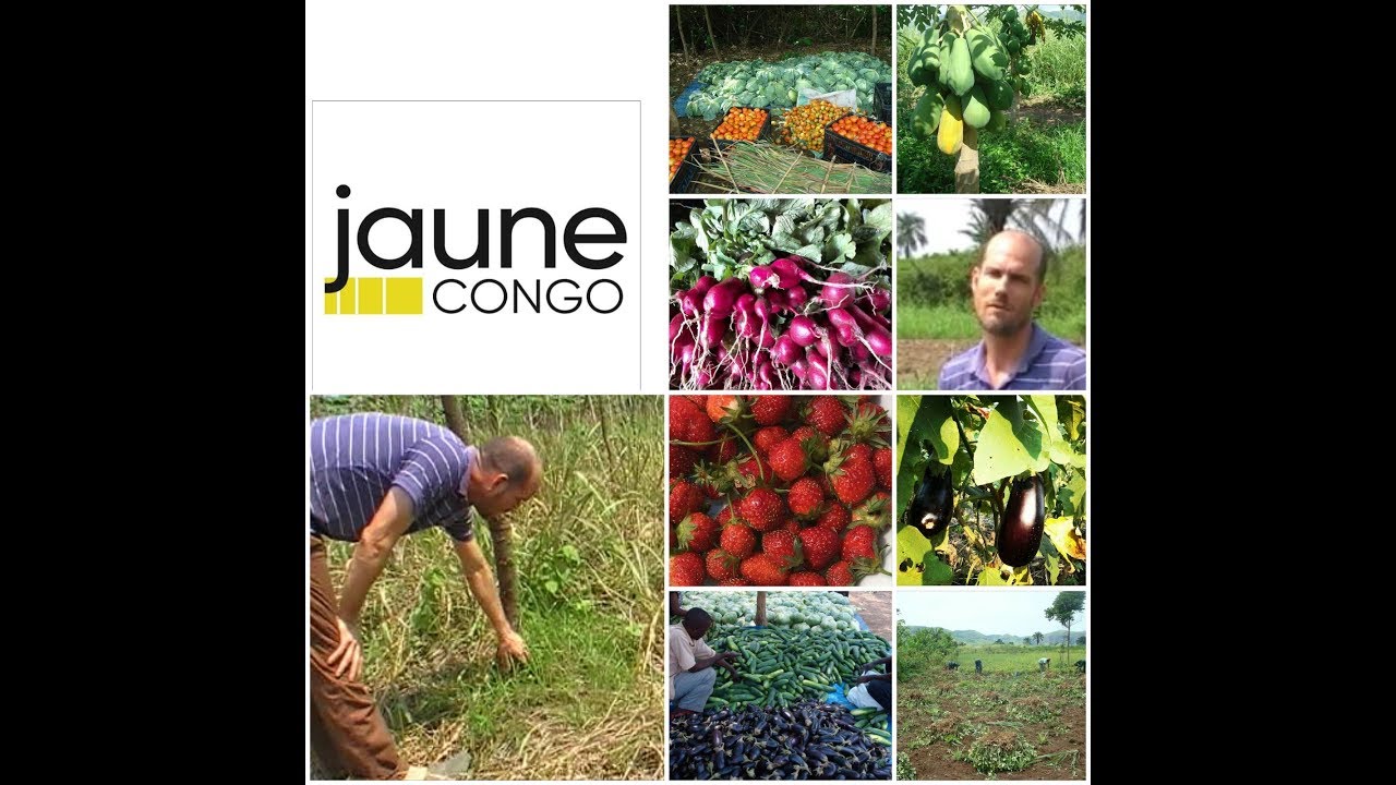 🔴2ème partie KONGO CENTRAL AGRICULTURE AVEC JAUNE CONGO DE ANTOINE PINGOUD FRUITS ET LÉGUMES FRAIS