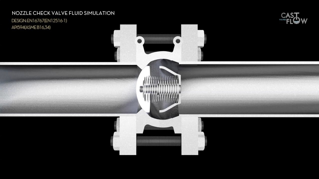 NOZZLE CHECK VALVE FLUID SIMULATION