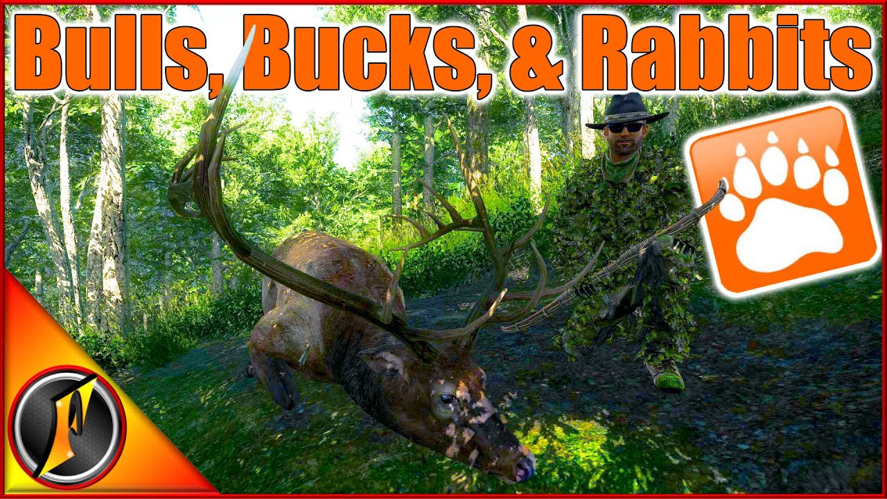 Big Bucks, Bulls, & Rabbits From a Ground Blind in theHunter Classic!