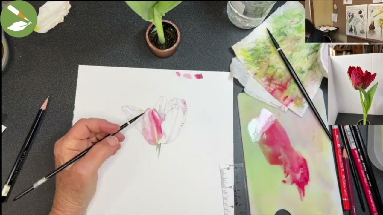 Red tulip demo