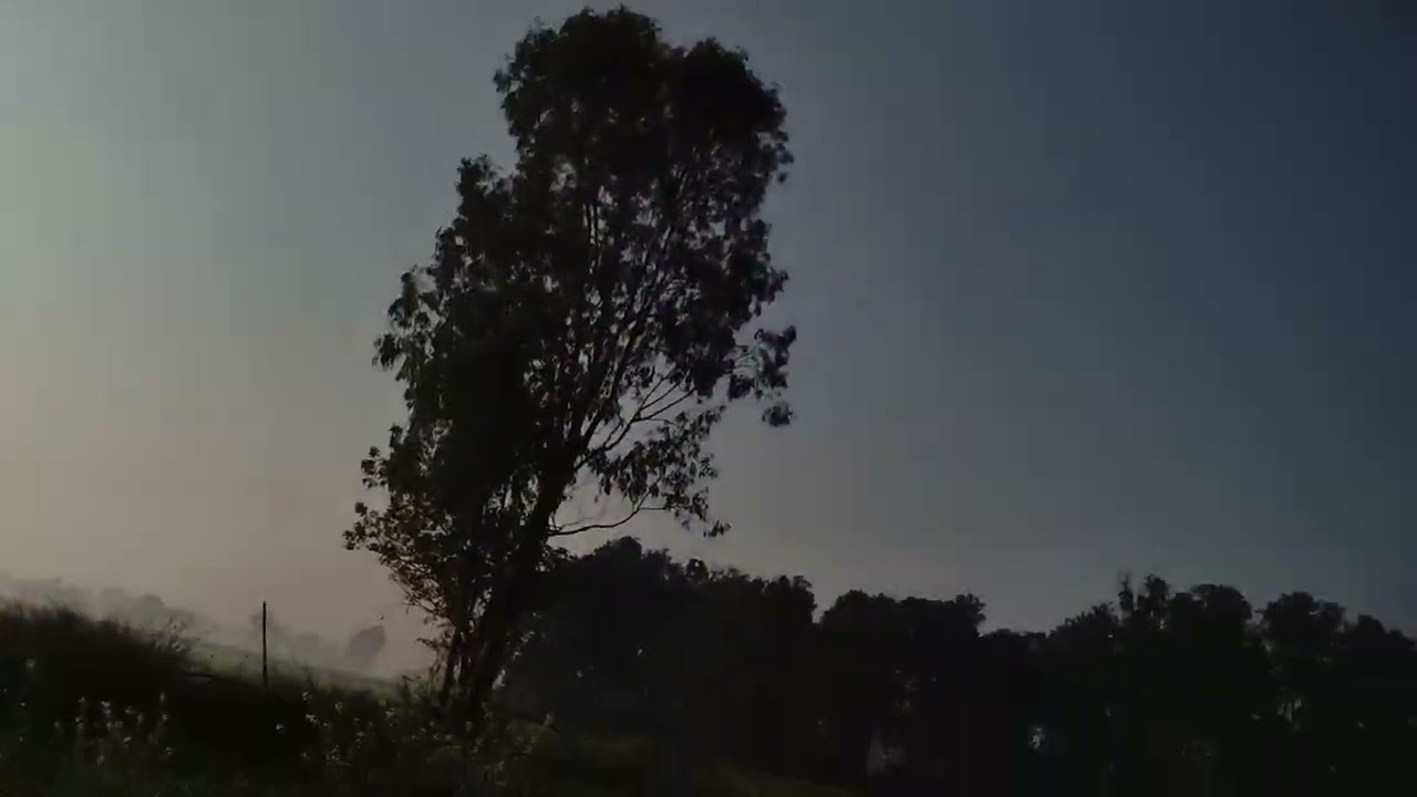 आज हम आपको अपने खेत में क्या बोए है दिखाते है🥰❤️💯