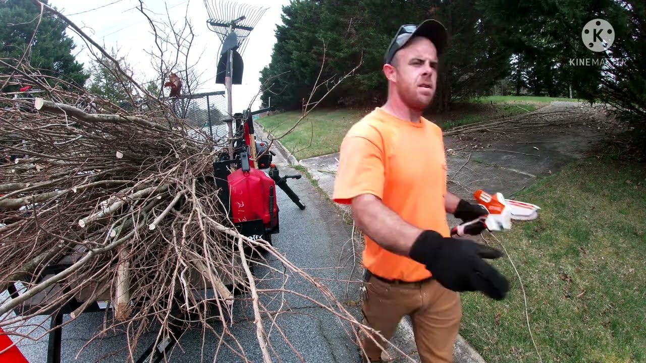HARD PRUNING Crepe Myrtles