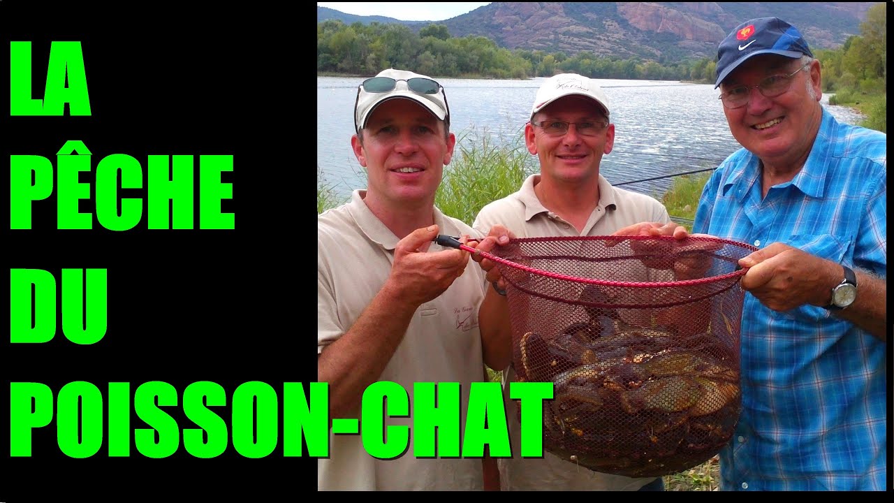 VIDEO - la pêche du poisson-chat à Roquebrune-sur-Argens avec les experts locaux