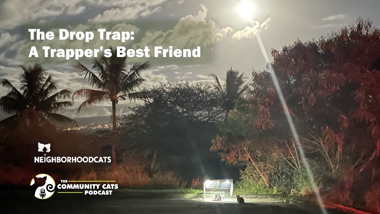 Drop Trap: A Trapper’s Best Friend Presented by Neighborhood Cats