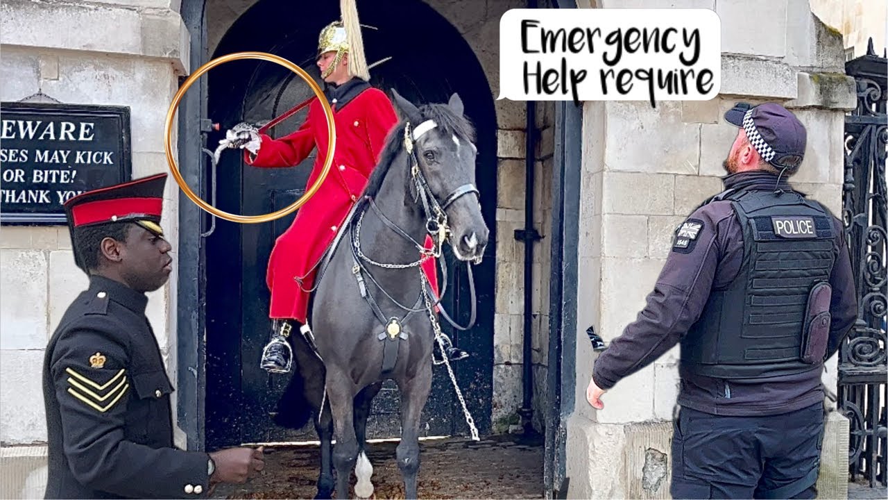 Emergency Button Pressed, Royal Kings horse guards.!