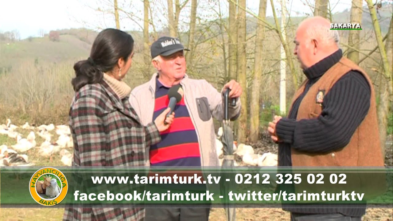 HAYVANCILIĞA BAKIŞ KAZ 2 KISIM