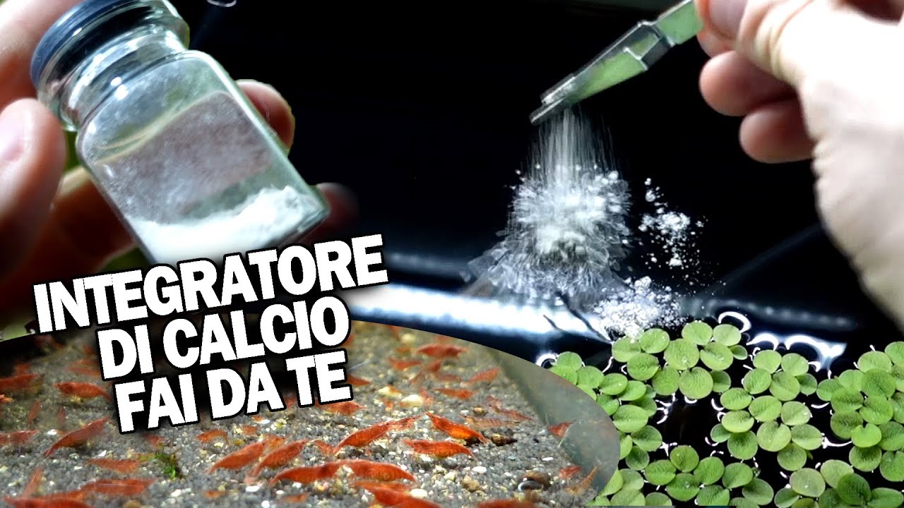 Integratore di CALCIO per CARIDINE in Acquario