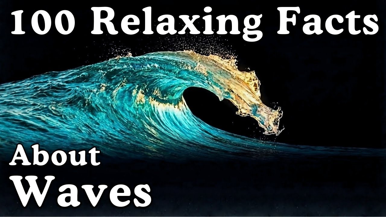 The Most Relaxing Facts About Waves to Fall Asleep To - Dreamy Science