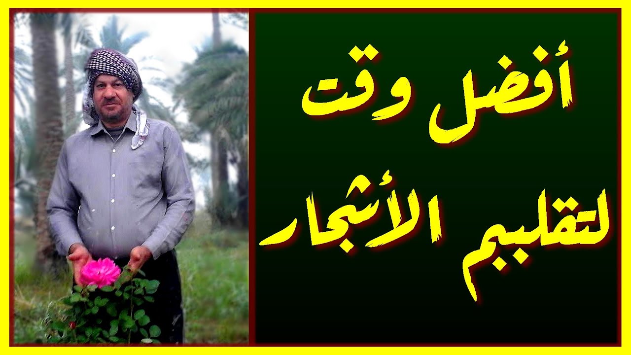 أفضل وقت لتقليم الاشجار ومعلومات عامة حول الكيفية