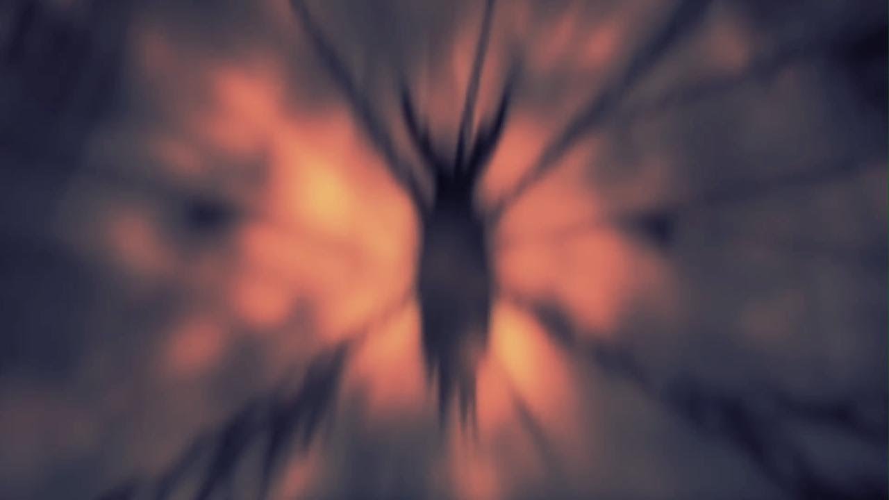 Hollow knight experience