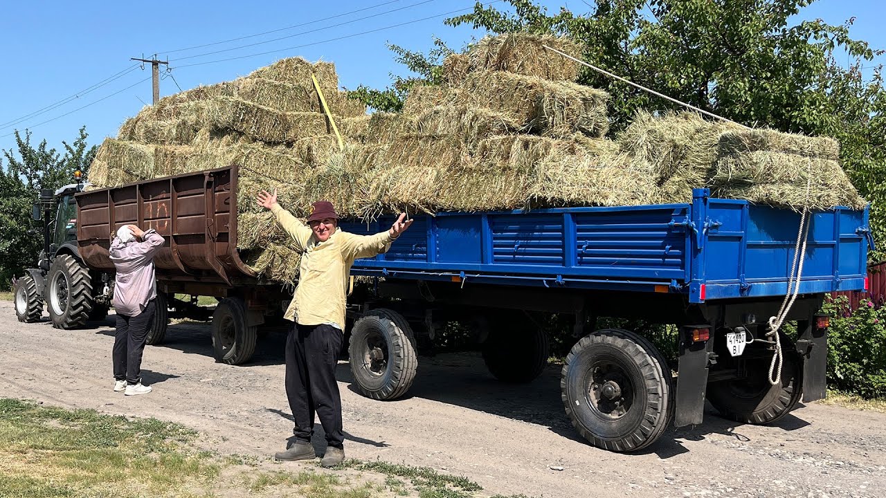 Все буде Україна! У селі немає спокою — шалена заготівля безкоштовного сіна...