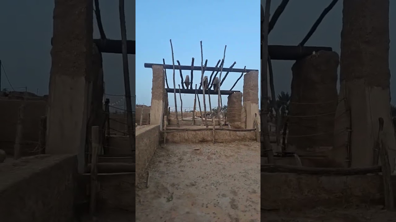 زيارتي لقرية النفيد التراثيه تصوير مرزوق الرقعان ابو عبدالعزيز