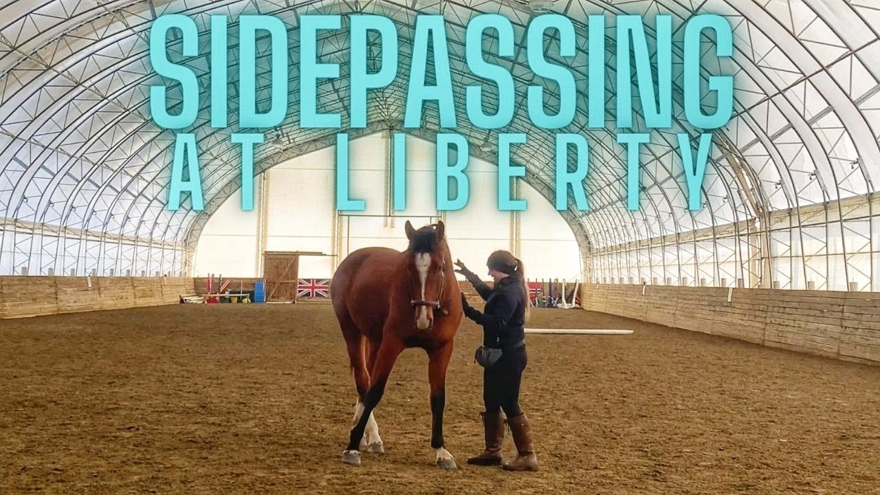 How I Taught My Horse to Sidepass at Liberty Using +R // Kaitehh Equestrian