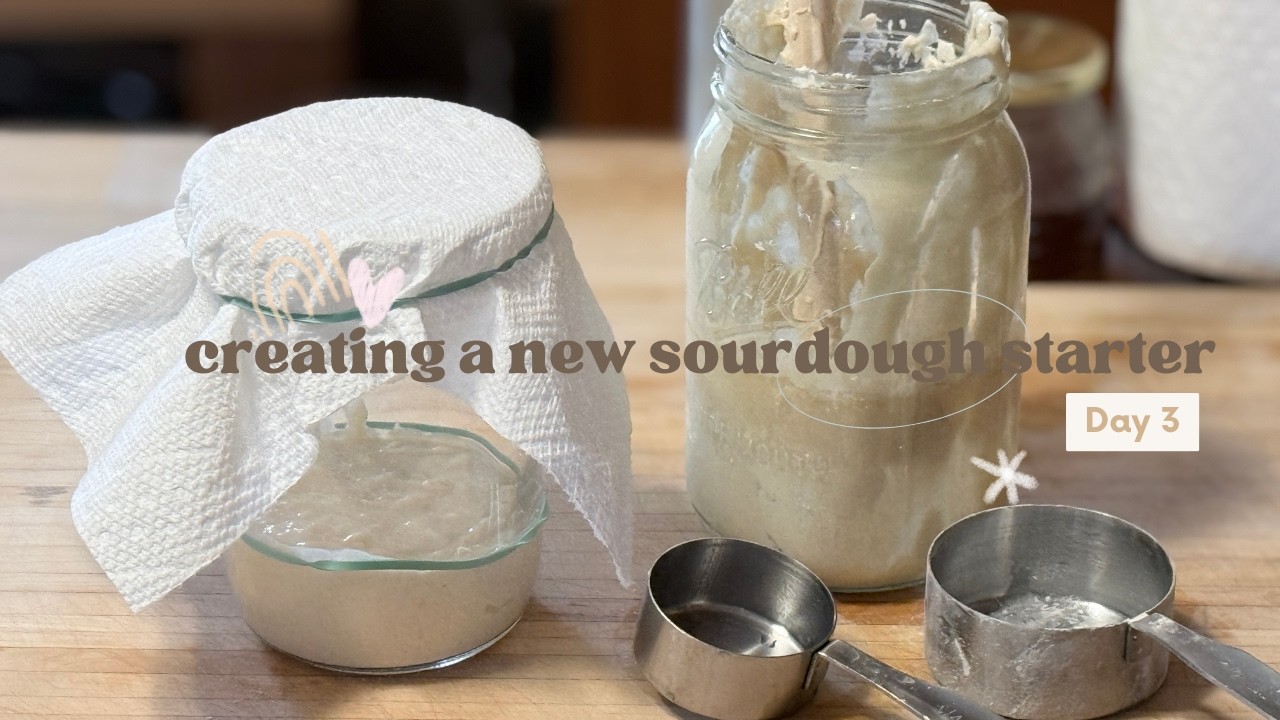 Creating a new sourdough starter day 3