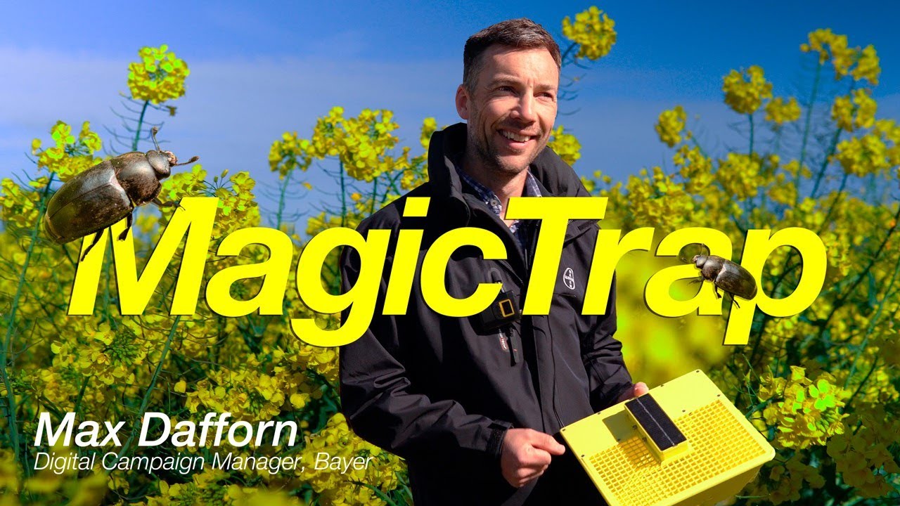 Identify OSR pests with MagicTrap
