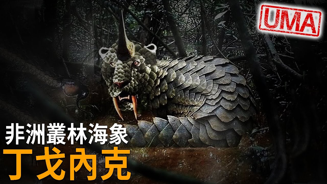 居住在非洲的叢林海象「丁戈內克」，1907年象牙盜獵者意外碰到具有一對劍齒、全身布滿鱗片的混種奇特生物，竟可能與滅絕麗齒獸有關連。