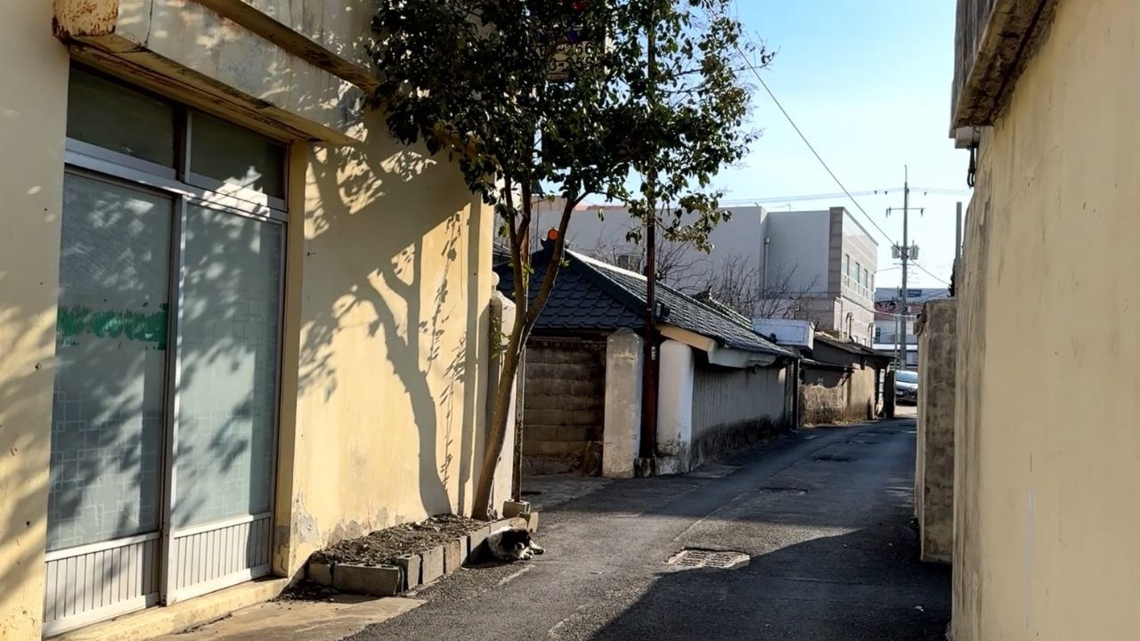 A Quiet Alley in a Small Town, and a Cat I Met Again