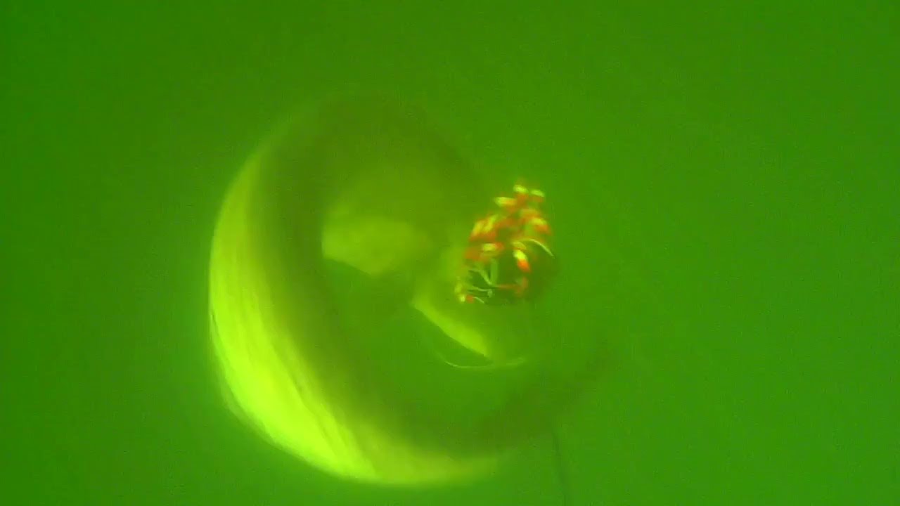 !New! MADCAT A-STATIC CLONK TEASERS - Catfish Underwater Video Fishing (2) Neo-Fish